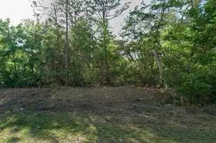 10830 N Hatari Dr, Citrus Springs, FL 34434 - Photo 1