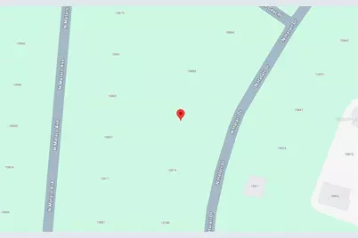 10830 N Hatari Drive, Citrus Springs, FL 34434 - Photo 3