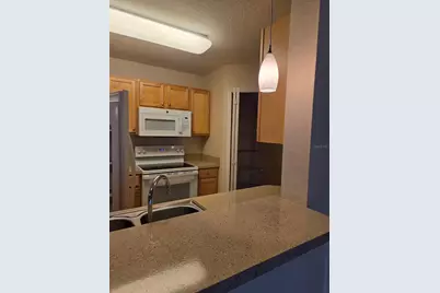 5824 Lake Pointe Village Circle #504, Orlando, FL 32822 - Photo 25