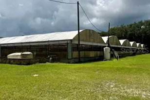 33322 Co Rd 437, Sorrento, FL 32776 - Photo 23