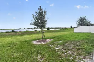 992 Griffon Ave, Lake Alfred, FL 33850 - Photo 23