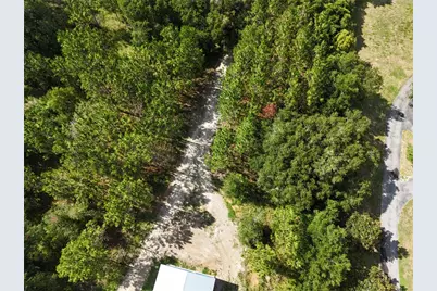 00 E County Road 44A, Eustis, FL 32726 - Photo 3