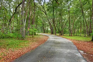 11795 SW Hwy 484, Dunnellon, FL 34432 - Photo 5