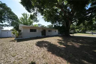4517 S Clark Ave, Tampa, FL 33611 - Photo 3