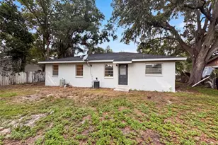 4209 E Alene Dr, Tampa, FL 33617 - Photo 19