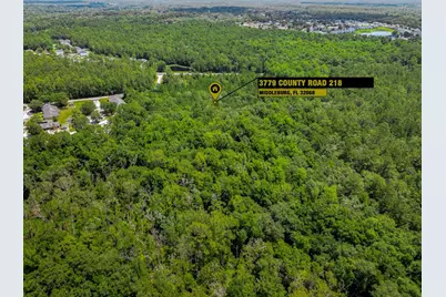 3779 County Road 218, Middleburg, FL 32068 - Photo 19