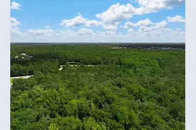 3779 County Road 218, Middleburg, FL 32068 - Photo 5