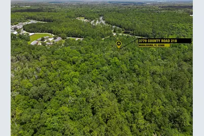 3779 County Road 218, Middleburg, FL 32068 - Photo 21
