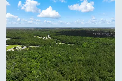 3779 County Road 218, Middleburg, FL 32068 - Photo 11
