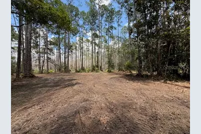 9th Avenue, Deland, FL 32724 - Photo 1