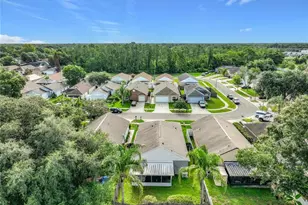 13011 Odyssey Lake Way, Orlando, FL 32826 - Photo 53