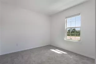 12032 Shine View Ln, Winter Garden, FL 34787 - Photo 13