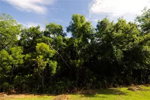 4609 Sparkling Shell Ave, Kissimmee, FL 34746 - Photo 23