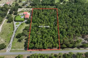 SW 97th Pl, Dunnellon, FL 34432 - Photo 1