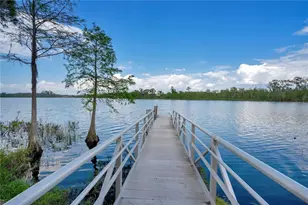 10654 Royal Cypress Way, Orlando, FL 32836 - Photo 59