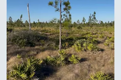 Holopaw Groves Road, Saint Cloud, FL 34771 - Photo 1