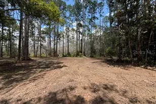 9th Ave, Deland, FL 32724 - Photo 1