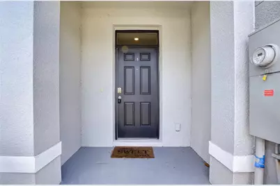 33028 Tulip Petal Lane, Wesley Chapel, FL 33545 - Photo 3