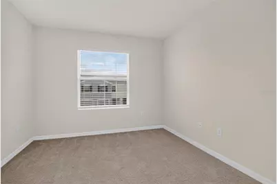 33028 Tulip Petal Lane, Wesley Chapel, FL 33545 - Photo 21