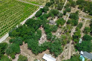 8170 Dogyard Rd, Lake Wales, FL 33898 - Photo 45