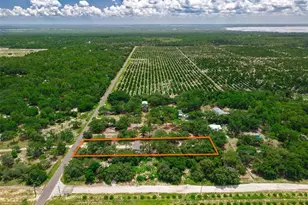 8170 Dogyard Rd, Lake Wales, FL 33898 - Photo 49