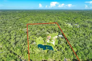 2291 Waccassa St, Geneva, FL 32732 - Photo 63