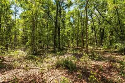 Lot 5 SW Meadowlands Drive, Lake City, FL 32024 - Photo 11