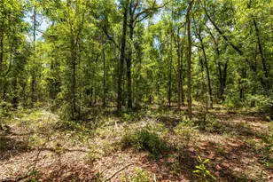 Lot 5 SW Meadowlands Dr, Lake City, FL 32024 - Photo 11