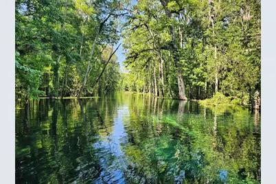 Lot 5 SW Meadowlands Drive, Lake City, FL 32024 - Photo 21