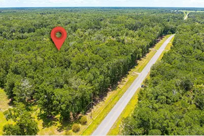 Lot 5 SW Meadowlands Drive, Lake City, FL 32024 - Photo 5
