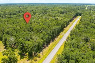 Lot 5 SW Meadowlands Dr, Lake City, FL 32024 - Photo 5