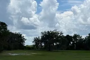 8881 Deer Run Dr, Lake Wales, FL 33898 - Photo 5