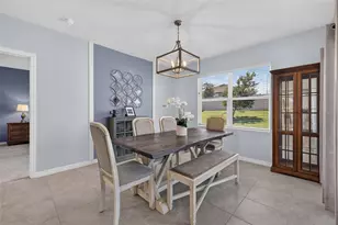 5264 Greenheart Ave, Mount Dora, FL 32757 - Photo 15