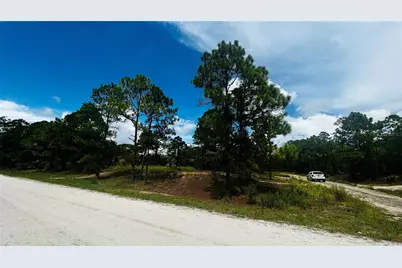 486 Dreamland Drive, Lake Placid, FL 33852 - Photo 5