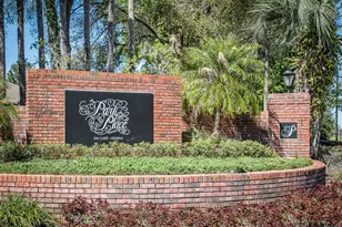 19337 Spring Oak Dr, Eustis, FL 32736 - Photo 55