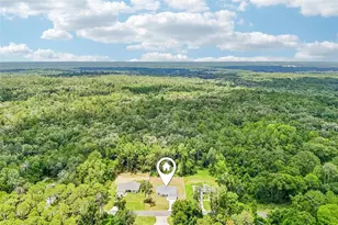 353 W Eridani Ct, Citrus Springs, FL 34434 - Photo 3