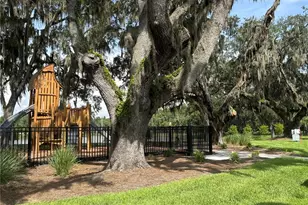 11451 Harborview St, Orlando, FL 32832 - Photo 25