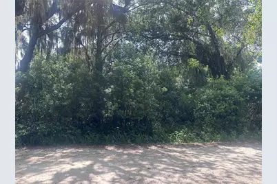 1622 Palm Street, Deland, FL 32720 - Photo 3