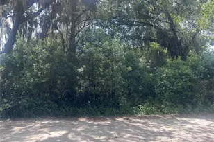 1622 Palm St, Deland, FL 32720 - Photo 3