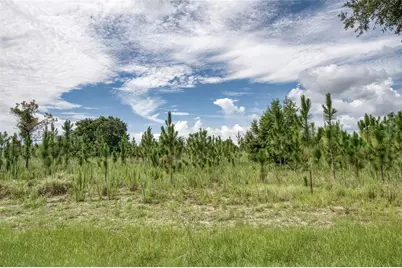2924 Majestic Isle Drive, Clermont, FL 34711 - Photo 53