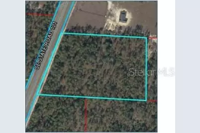 Se State Road 121 Street, Morriston, FL 32668 - Photo 1