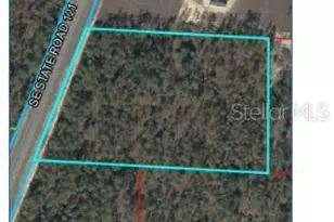 SE State Road 121, Morriston, FL 32668 - Photo 1