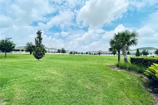412 Lemongrass Rd, Minneola, FL 34715 - Photo 3