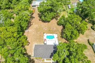 12290 SE 141st Avenue Rd, Ocklawaha, FL 32179 - Photo 35