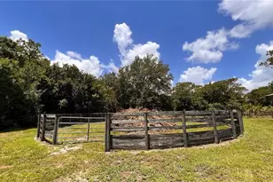 3060 Rambler Ave, Saint Cloud, FL 34772 - Photo 5