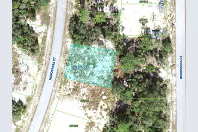 1340 Homosassa Court, Kissimmee, FL 34759 - Photo 5