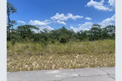 1340 Homosassa Court, Kissimmee, FL 34759 - Photo 1