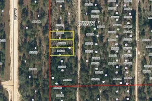 SW 59th Ave, Interlachen, FL 32148 - Photo 1