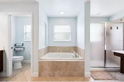 30148 Jutland Court, Mount Dora, FL 32757 - Photo 27