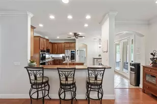30148 Jutland Ct, Mount Dora, FL 32757 - Photo 11